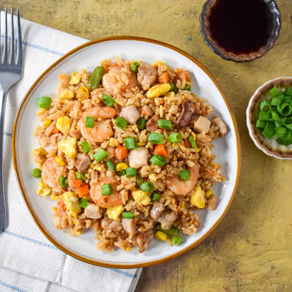 The shrimp and chicken fried rice garnished with sliced green onions with soy sauce and extra green onions on the side.