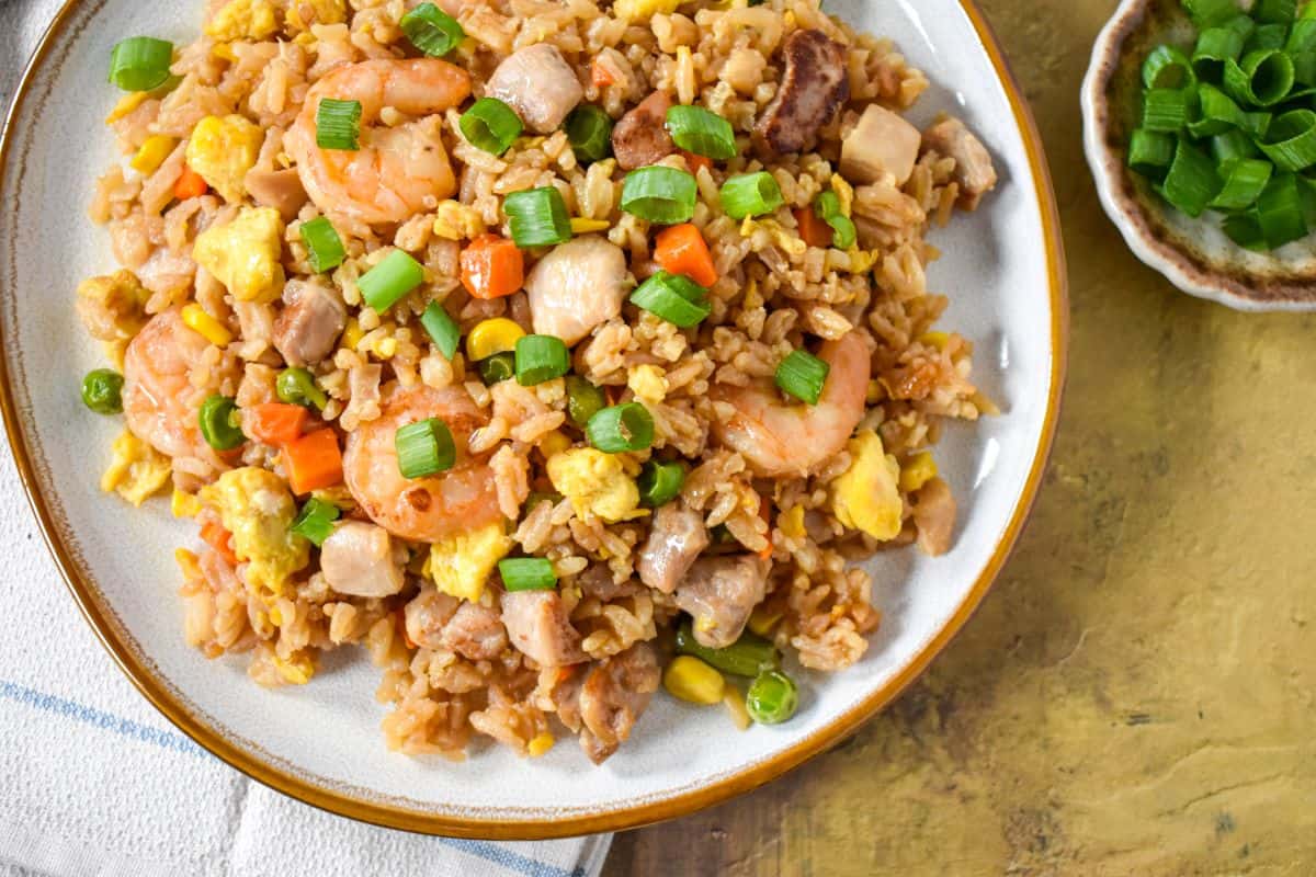 The finished fried rice served on a white plate with tan rim with extra green onions on the side.