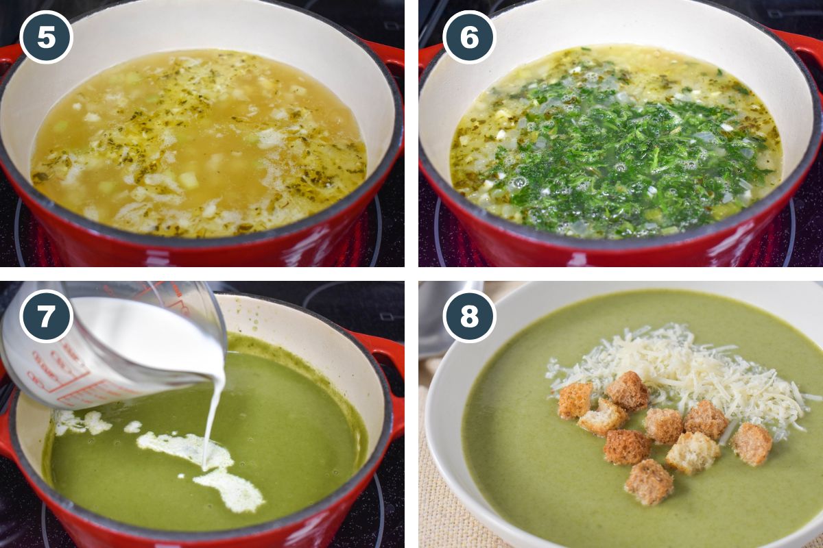 Step-by-step process of making cream of spinach soup: 5) Simmering the broth with seasonings and vegetables. 6) Adding thawed and squeezed-dry spinach to the pot. 7) Pouring half & half into the blended soup. 8) Finished soup served in a bowl, garnished with Parmesan cheese and croutons.