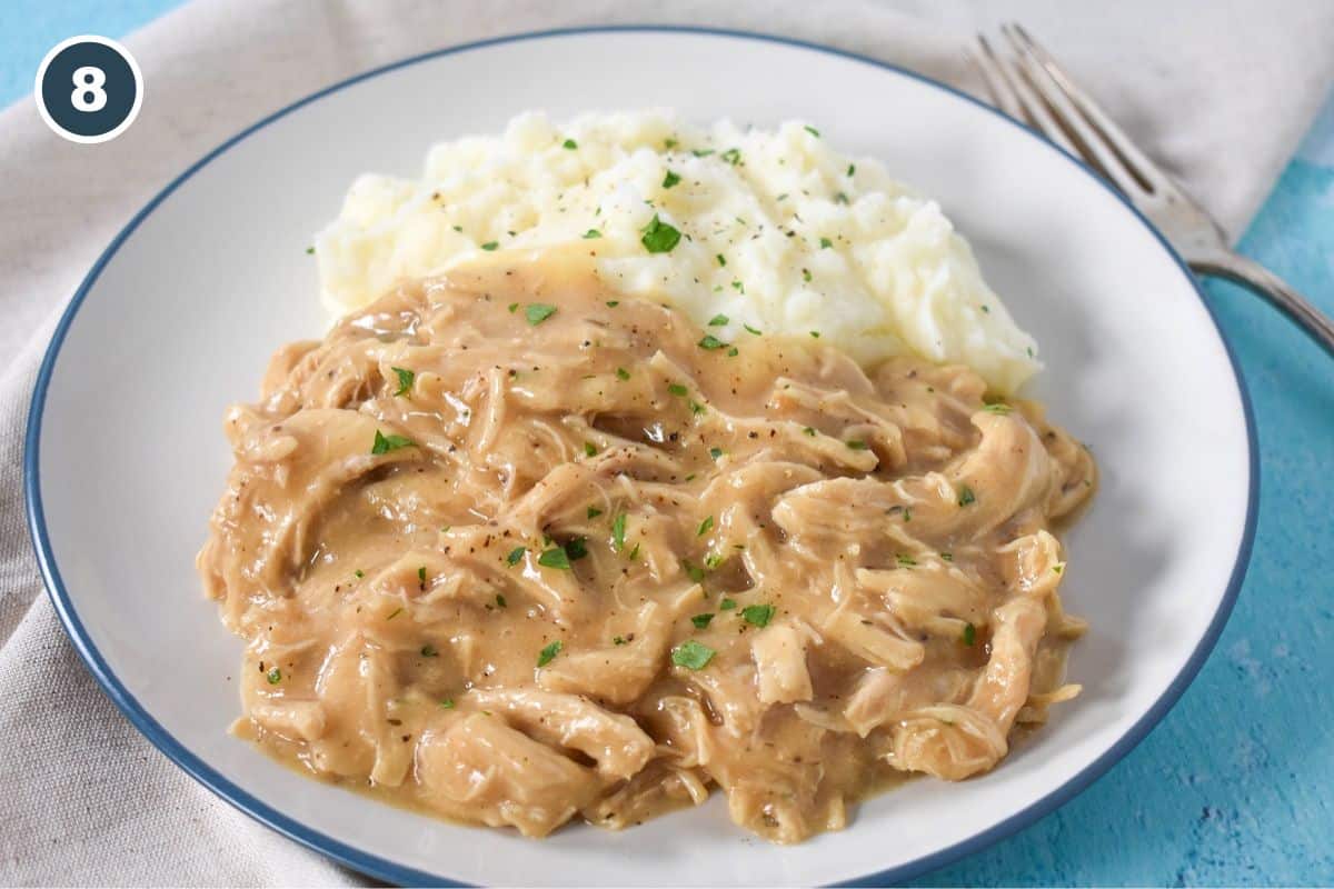 A plate of shredded chicken in gravy served with mashed potatoes, garnished with chopped herbs.