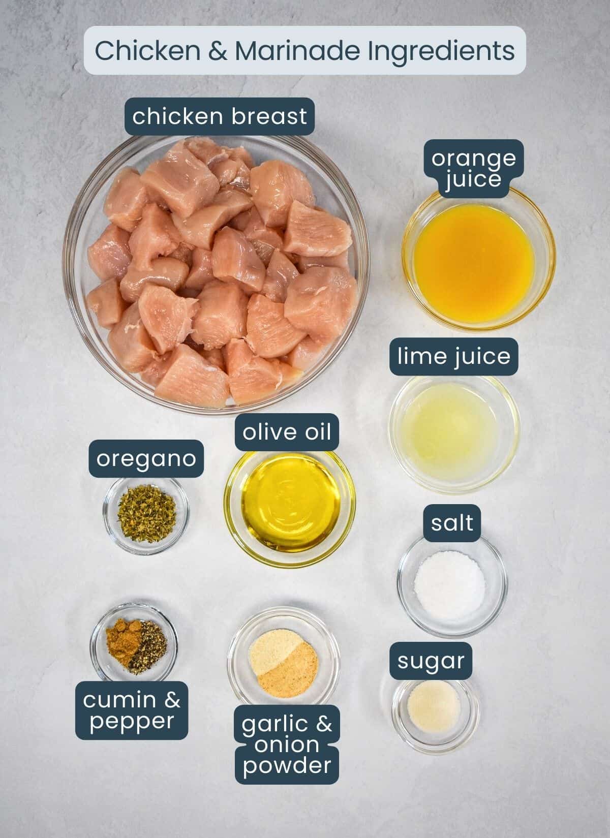 Chicken breast, and the ingredients for the marinade arranged in glass bowls with each labeled with blue and white letters.
