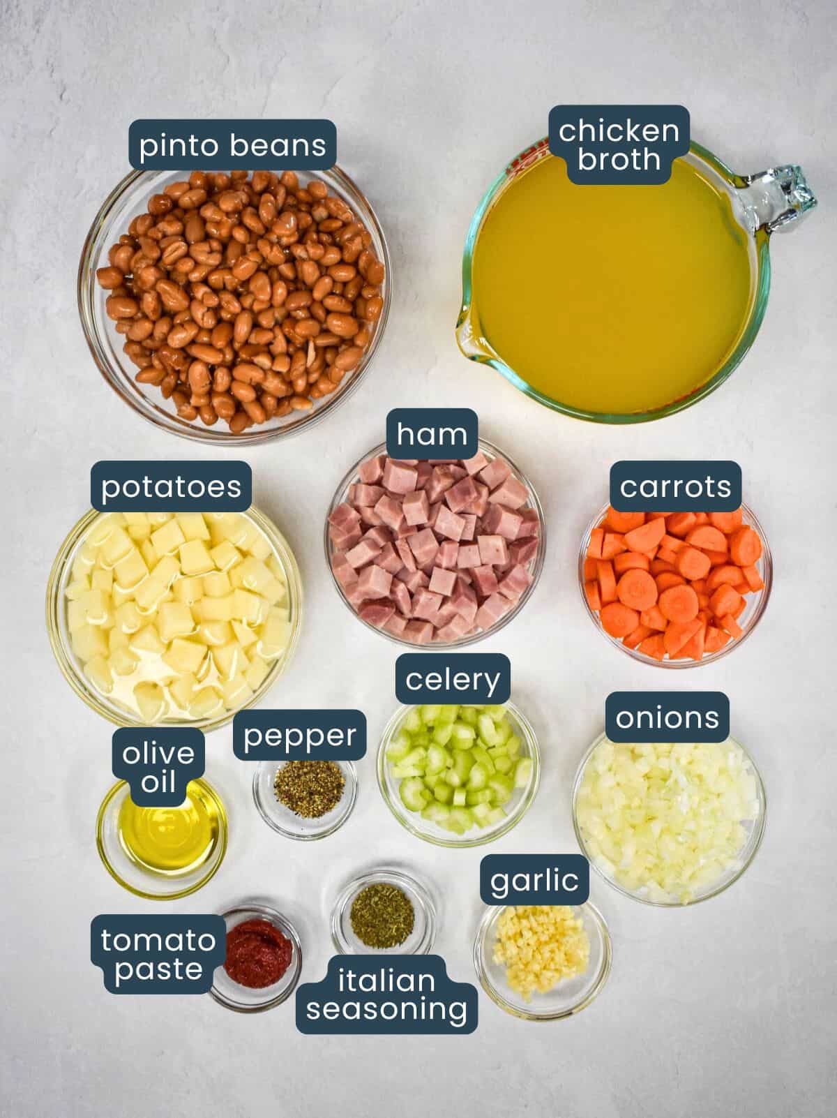 The ingredients for the soup prepped and arranged on a white table with each one labeled.